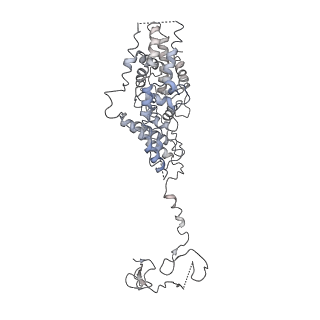 4987_6rrd_Q_v1-1
RNA Polymerase I Pre-initiation complex DNA opening intermediate 1