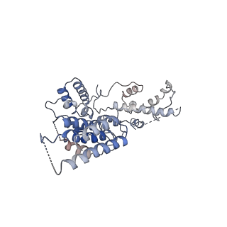 4987_6rrd_R_v1-1
RNA Polymerase I Pre-initiation complex DNA opening intermediate 1
