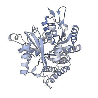 24666_7rs5_A_v1-1
Cryo-EM structure of Kip3 (AMPPNP) bound to Taxol-Stabilized Microtubules