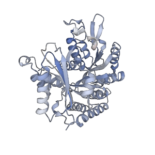 24666_7rs5_B_v1-1
Cryo-EM structure of Kip3 (AMPPNP) bound to Taxol-Stabilized Microtubules