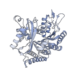 24666_7rs5_C_v1-1
Cryo-EM structure of Kip3 (AMPPNP) bound to Taxol-Stabilized Microtubules