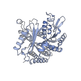 24666_7rs5_D_v1-1
Cryo-EM structure of Kip3 (AMPPNP) bound to Taxol-Stabilized Microtubules