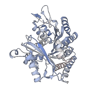24666_7rs5_E_v1-1
Cryo-EM structure of Kip3 (AMPPNP) bound to Taxol-Stabilized Microtubules