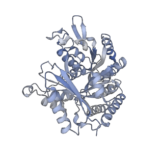 24666_7rs5_F_v1-1
Cryo-EM structure of Kip3 (AMPPNP) bound to Taxol-Stabilized Microtubules