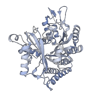 24666_7rs5_G_v1-1
Cryo-EM structure of Kip3 (AMPPNP) bound to Taxol-Stabilized Microtubules