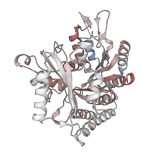 24666_7rs5_I_v1-1
Cryo-EM structure of Kip3 (AMPPNP) bound to Taxol-Stabilized Microtubules