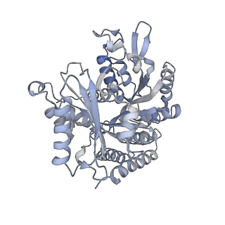 24666_7rs5_J_v1-1
Cryo-EM structure of Kip3 (AMPPNP) bound to Taxol-Stabilized Microtubules