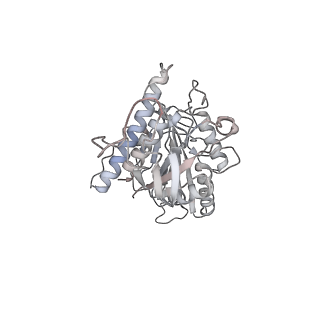 24666_7rs5_K_v1-1
Cryo-EM structure of Kip3 (AMPPNP) bound to Taxol-Stabilized Microtubules