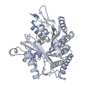 24666_7rs5_L_v1-1
Cryo-EM structure of Kip3 (AMPPNP) bound to Taxol-Stabilized Microtubules