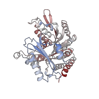24666_7rs5_M_v1-1
Cryo-EM structure of Kip3 (AMPPNP) bound to Taxol-Stabilized Microtubules