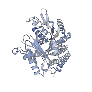 24666_7rs5_O_v1-1
Cryo-EM structure of Kip3 (AMPPNP) bound to Taxol-Stabilized Microtubules