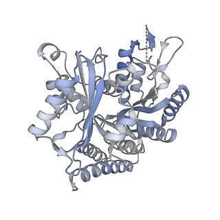 24666_7rs5_P_v1-1
Cryo-EM structure of Kip3 (AMPPNP) bound to Taxol-Stabilized Microtubules