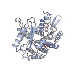 24666_7rs5_Q_v1-1
Cryo-EM structure of Kip3 (AMPPNP) bound to Taxol-Stabilized Microtubules