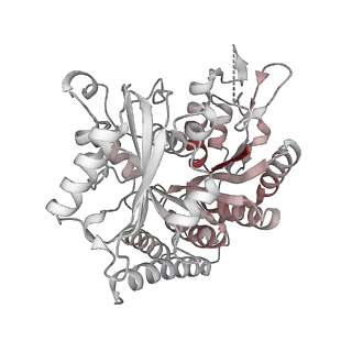 24666_7rs5_R_v1-1
Cryo-EM structure of Kip3 (AMPPNP) bound to Taxol-Stabilized Microtubules