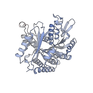 24666_7rs5_S_v1-1
Cryo-EM structure of Kip3 (AMPPNP) bound to Taxol-Stabilized Microtubules