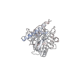 24666_7rs5_a_v1-1
Cryo-EM structure of Kip3 (AMPPNP) bound to Taxol-Stabilized Microtubules