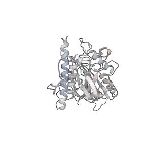 24666_7rs5_b_v1-1
Cryo-EM structure of Kip3 (AMPPNP) bound to Taxol-Stabilized Microtubules