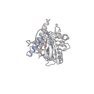 24666_7rs5_c_v1-1
Cryo-EM structure of Kip3 (AMPPNP) bound to Taxol-Stabilized Microtubules