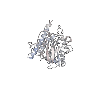 24666_7rs5_d_v1-1
Cryo-EM structure of Kip3 (AMPPNP) bound to Taxol-Stabilized Microtubules