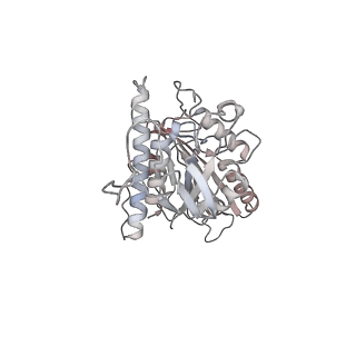 24666_7rs5_e_v1-1
Cryo-EM structure of Kip3 (AMPPNP) bound to Taxol-Stabilized Microtubules