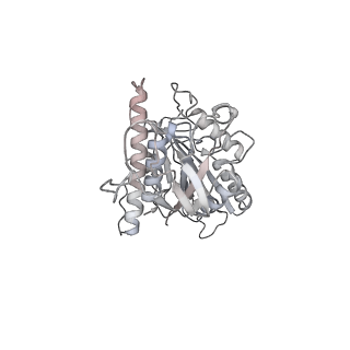 24666_7rs5_f_v1-1
Cryo-EM structure of Kip3 (AMPPNP) bound to Taxol-Stabilized Microtubules