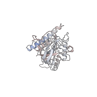 24666_7rs5_g_v1-1
Cryo-EM structure of Kip3 (AMPPNP) bound to Taxol-Stabilized Microtubules