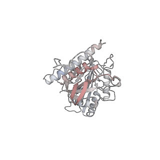 24666_7rs5_h_v1-1
Cryo-EM structure of Kip3 (AMPPNP) bound to Taxol-Stabilized Microtubules