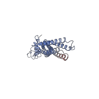 24688_7rtt_B_v1-1
Cryo-EM structure of a TTYH2 cis-dimer
