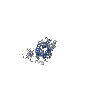 24689_7rtu_A_v1-1
Cryo-EM structure of a TTYH2 trans-dimer