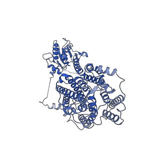4997_6rtc_A_v1-2
Structure of murine Solute Carrier 26 family member A9 (Slc26a9) anion transporter in the inward-facing state