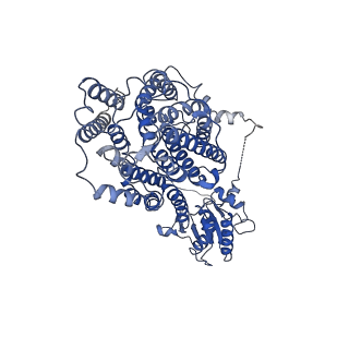 4997_6rtc_B_v1-2
Structure of murine Solute Carrier 26 family member A9 (Slc26a9) anion transporter in the inward-facing state