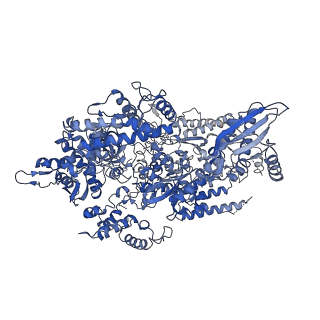 10006_6rui_A_v1-1
RNA Polymerase I Pre-initiation complex DNA opening intermediate 2