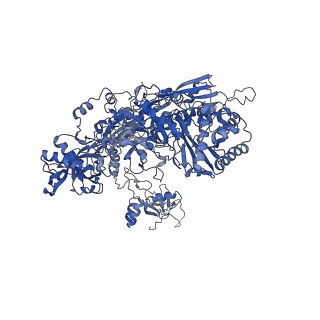10006_6rui_B_v1-1
RNA Polymerase I Pre-initiation complex DNA opening intermediate 2