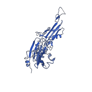 10006_6rui_C_v1-1
RNA Polymerase I Pre-initiation complex DNA opening intermediate 2