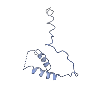 10006_6rui_D_v1-1
RNA Polymerase I Pre-initiation complex DNA opening intermediate 2