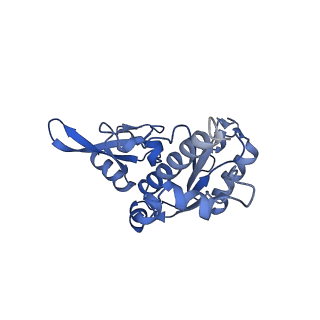 10006_6rui_E_v1-1
RNA Polymerase I Pre-initiation complex DNA opening intermediate 2