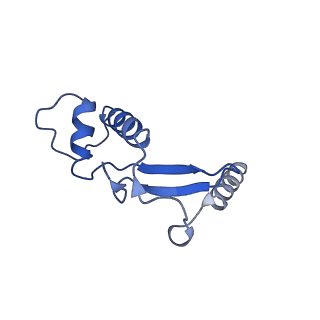 10006_6rui_F_v1-1
RNA Polymerase I Pre-initiation complex DNA opening intermediate 2