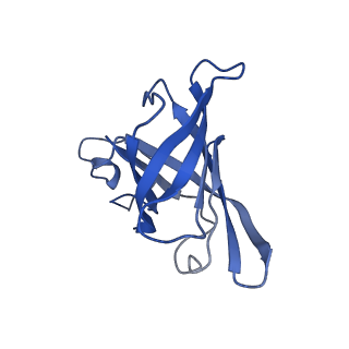 10006_6rui_H_v1-1
RNA Polymerase I Pre-initiation complex DNA opening intermediate 2