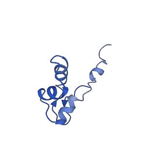10006_6rui_J_v1-1
RNA Polymerase I Pre-initiation complex DNA opening intermediate 2