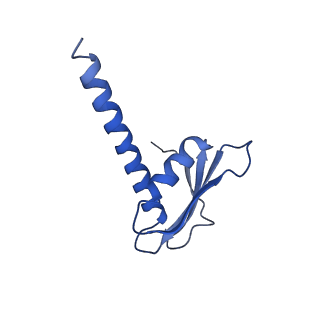 10006_6rui_K_v1-1
RNA Polymerase I Pre-initiation complex DNA opening intermediate 2