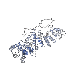 10006_6rui_O_v1-1
RNA Polymerase I Pre-initiation complex DNA opening intermediate 2