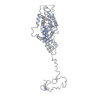 10006_6rui_Q_v1-1
RNA Polymerase I Pre-initiation complex DNA opening intermediate 2