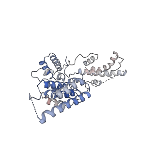 10006_6rui_R_v1-1
RNA Polymerase I Pre-initiation complex DNA opening intermediate 2