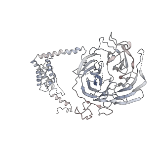 10006_6rui_S_v1-1
RNA Polymerase I Pre-initiation complex DNA opening intermediate 2