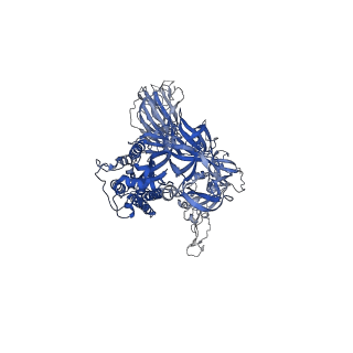 24695_7ru3_A_v1-1
CC6.33 IgG in complex with SARS-CoV-2-6P-Mut7 S protein (non-uniform refinement)