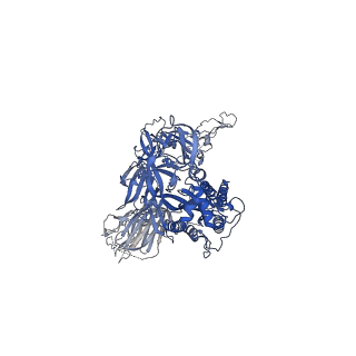 24695_7ru3_B_v1-1
CC6.33 IgG in complex with SARS-CoV-2-6P-Mut7 S protein (non-uniform refinement)