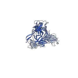 24695_7ru3_C_v1-1
CC6.33 IgG in complex with SARS-CoV-2-6P-Mut7 S protein (non-uniform refinement)