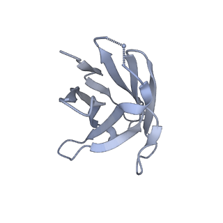 24695_7ru3_F_v1-1
CC6.33 IgG in complex with SARS-CoV-2-6P-Mut7 S protein (non-uniform refinement)