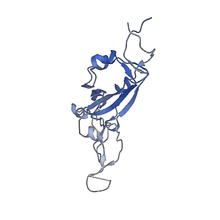 24696_7ru4_A_v1-1
CC6.33 IgG in complex with SARS-CoV-2-6P-Mut7 S protein (RBD/Fv local refinement)