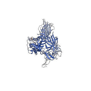 24697_7ru5_C_v1-2
CC6.30 fragment antigen binding in complex with SARS-CoV-2-6P-Mut7 S protein (non-uniform refinement)